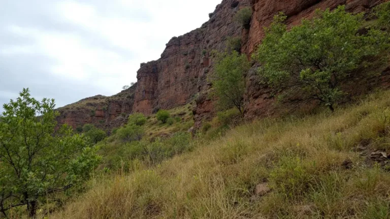Loodgieter onthult welke goedkope keukenvloeistof je afvoer automatisch ontstopt